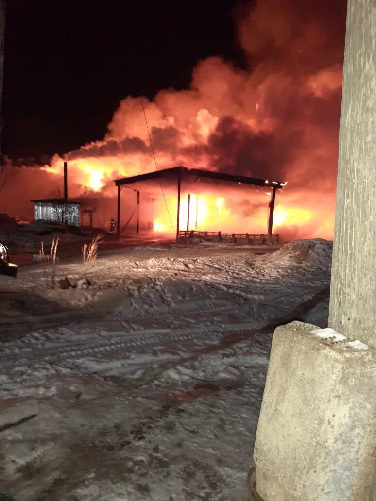 Сгорел цех. Пожар в Тонкино Нижегородской области. Пожары в Нижегородской области. Пожар в Березовском пилорама. Поселок Таежный пожар Лесопилка.