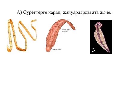 Орыс порно фото