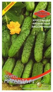 Сорт огурцов меринда