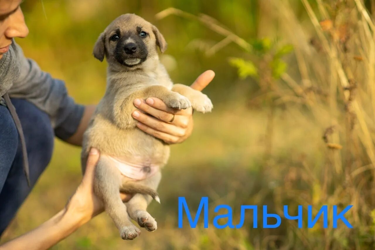 Конкурс верный друг 2021. Конкурс верный друг 2022. Верный друг крепкая защита. Верный друг крепкая защита. Вот что значит настоящий верный друг проект.