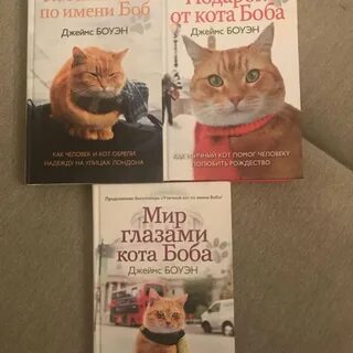 Приключения кота читать