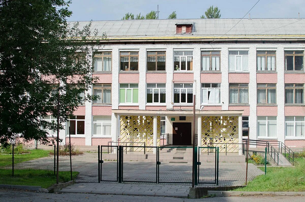 Регион 11 школы. Новомосковск тульская область школа 20. 15 школа майкоп. Москворецкая гимназия 11 воскресенск. Школа 1 долгопрудный.