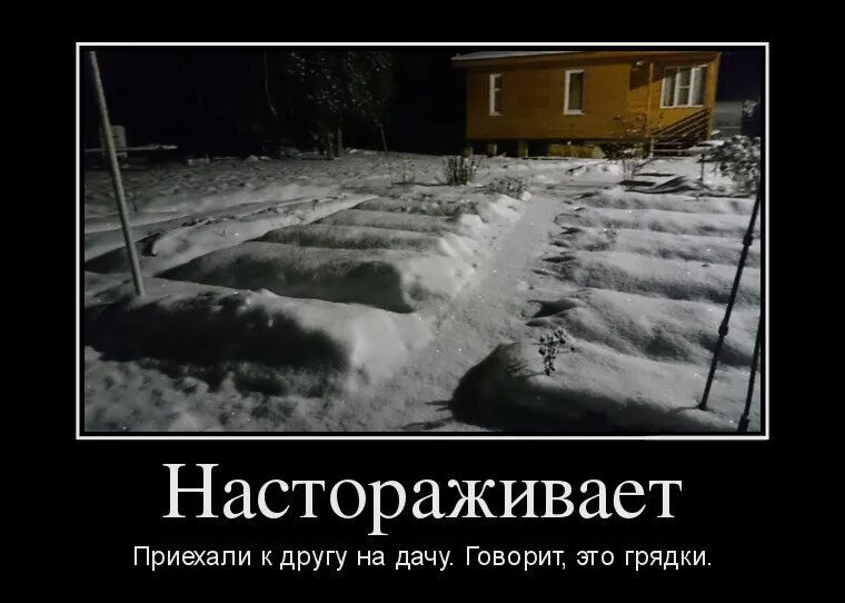 Отдыхайте говорили они. Приезжай на дачу говорили они отдохнешь говорили они. Отдыхайте говорили они. Пойдем в поход говорили они. Отдыхайте говорили они.