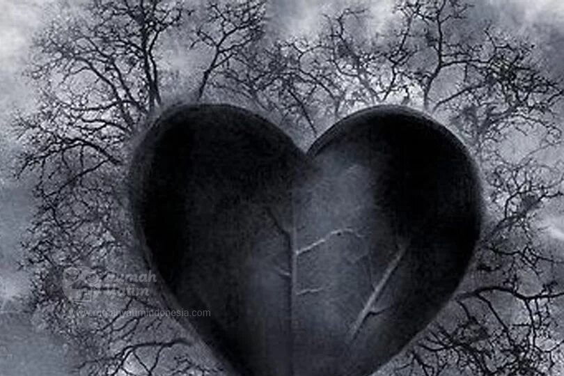 Сердце твое двулико. Черные сердца. Чёрное разбитое сердце.