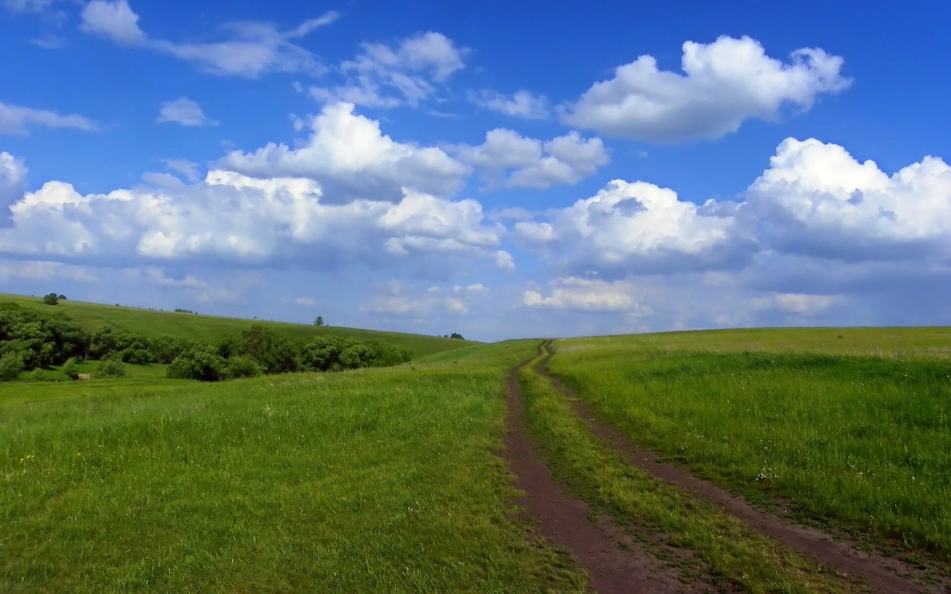 Футаж пейзаж. Лесостепь алтайского края. пейзаж с облаками фото. дорога поле кусты. поле с пригорком.