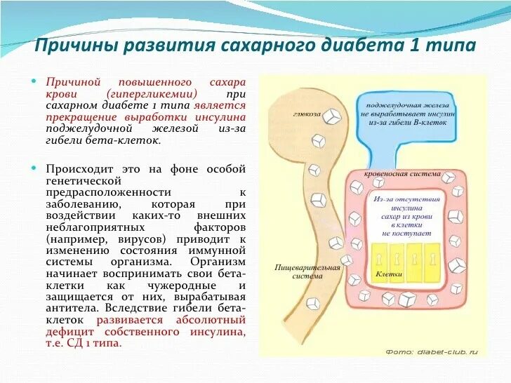 Сахарный диабет 1 типа у детей. Причины формирования сахарного диабета. Причины сахарного диабета 1 типа у детей. Сахарный диабет в детском возрасте развивается вследствие в крови.