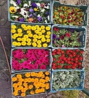 В каких цветах продаю