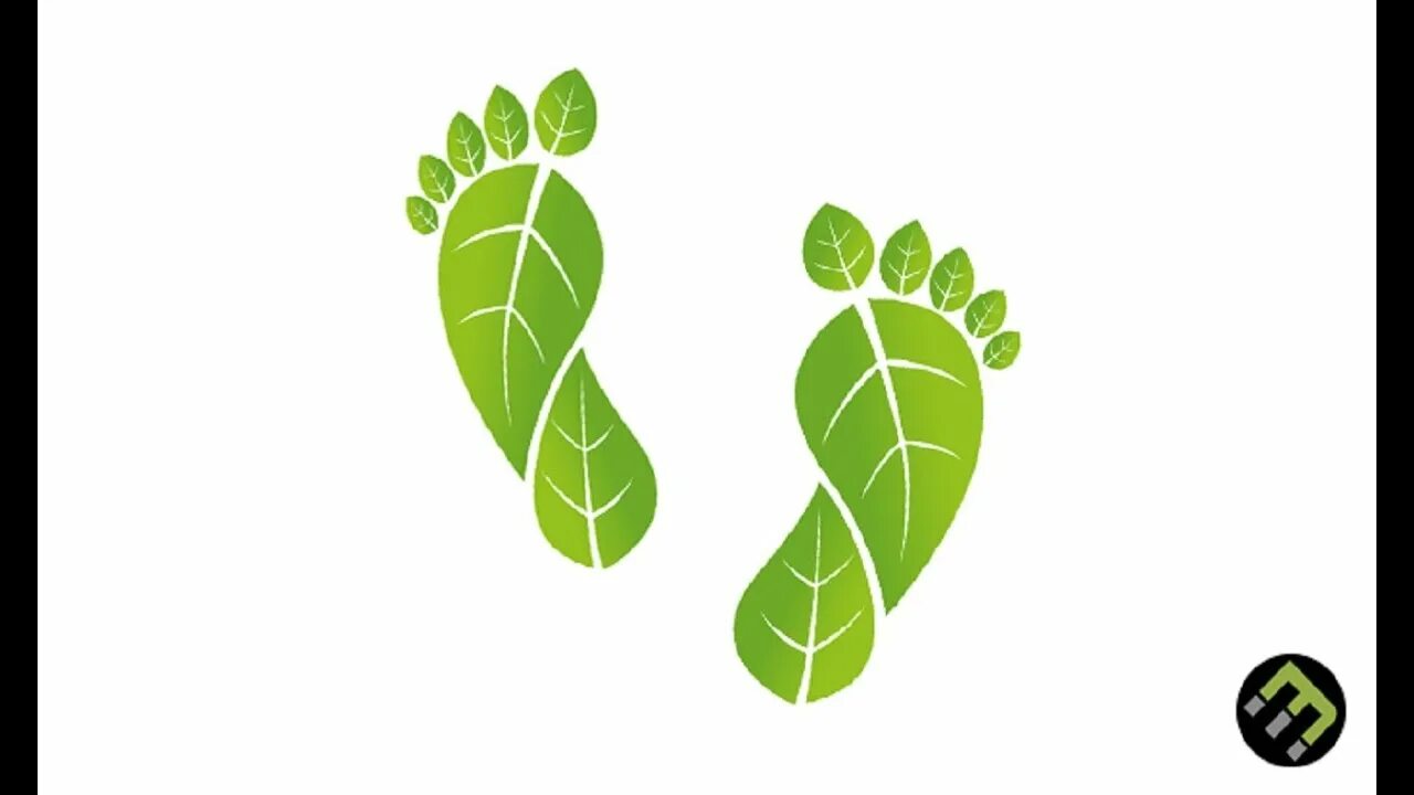 Your carbon footprint