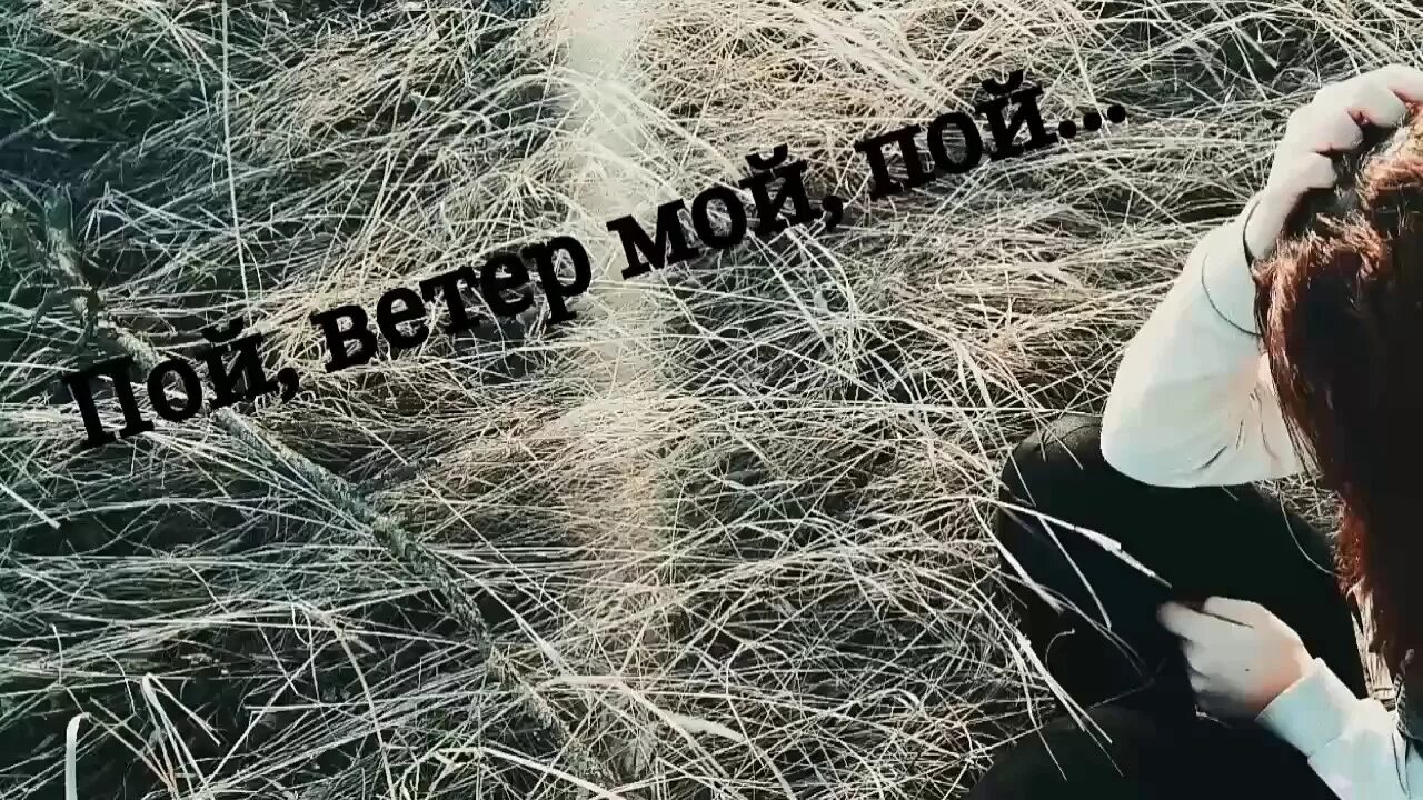 Песня кунгурова ветер. Пой ветер. Kerwprod исполнительница. Пой с нами. Пой ветер мой пой и Полетай со мной.