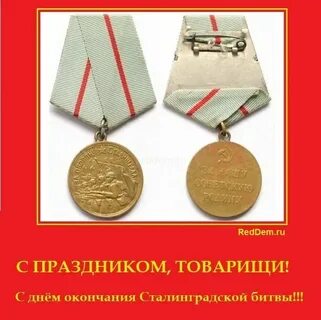 День товарища