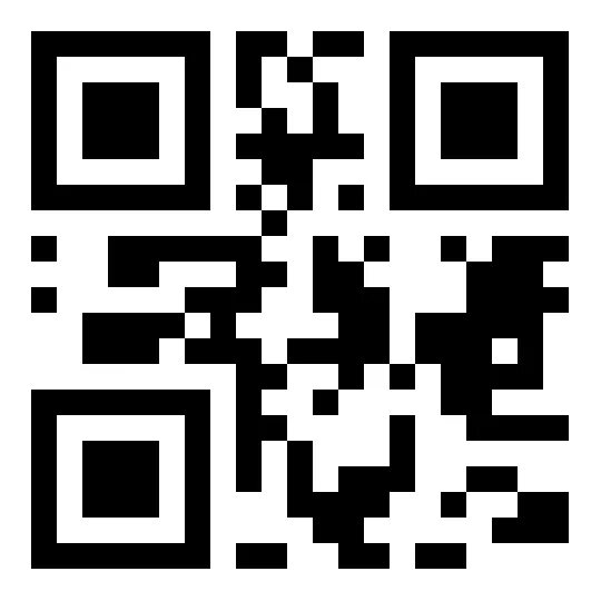 Форматы qr кодов