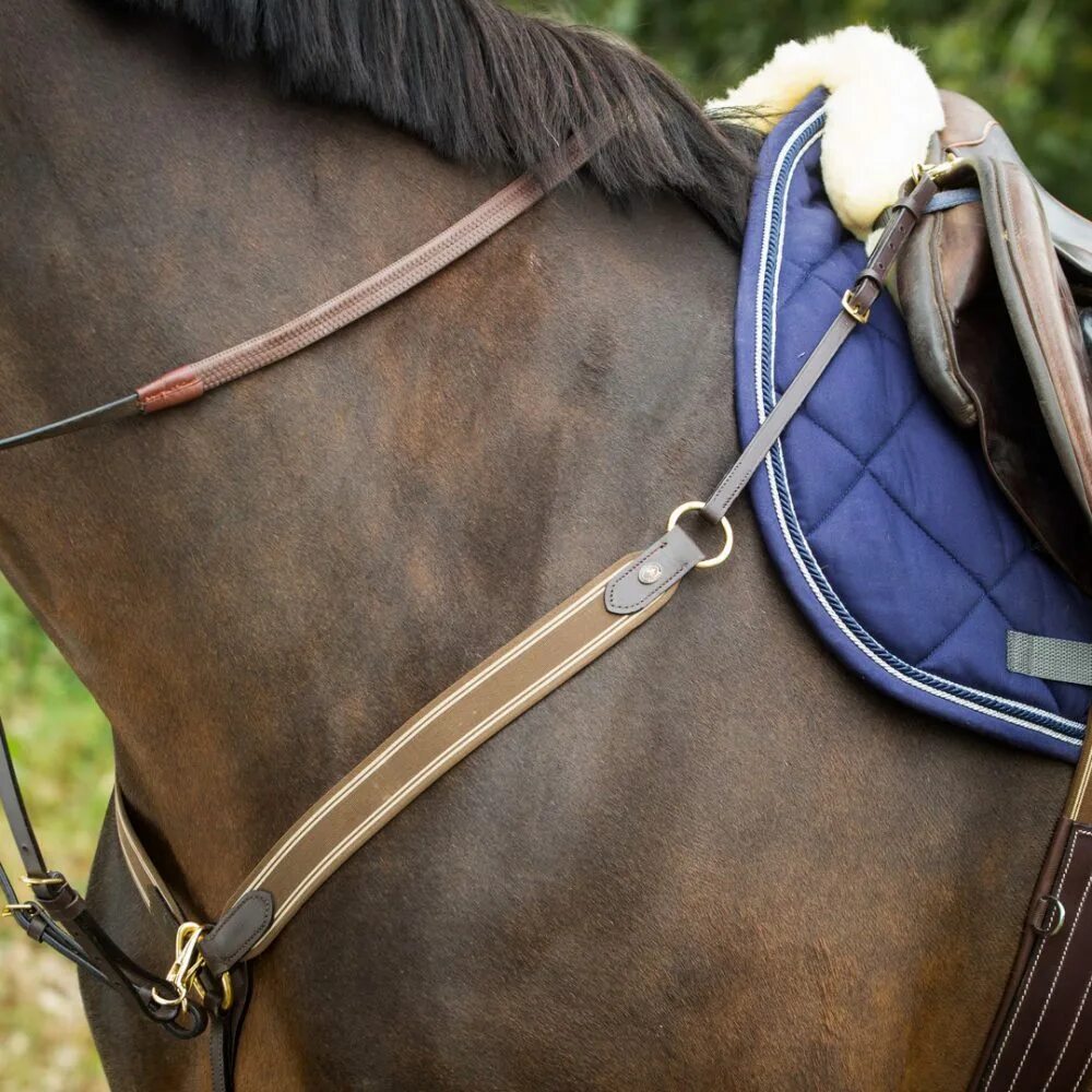 как называлась амуниция. конское снаряжение. оборудование для лошадей как называется. попона денниковая кингсленд. вальтрап конный спорт на лошади.