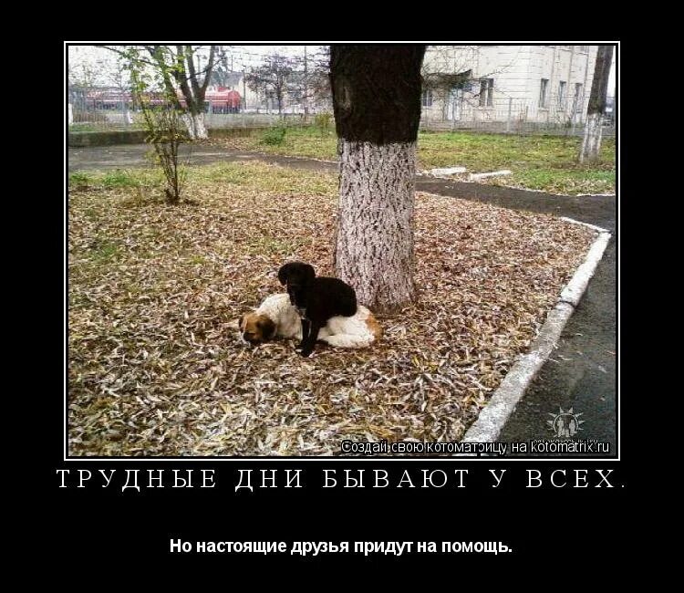 воспитание любовью. мы поссоримся и помиримся. друзья пришли помочь. четверо друзей. друзья придут на помощь.