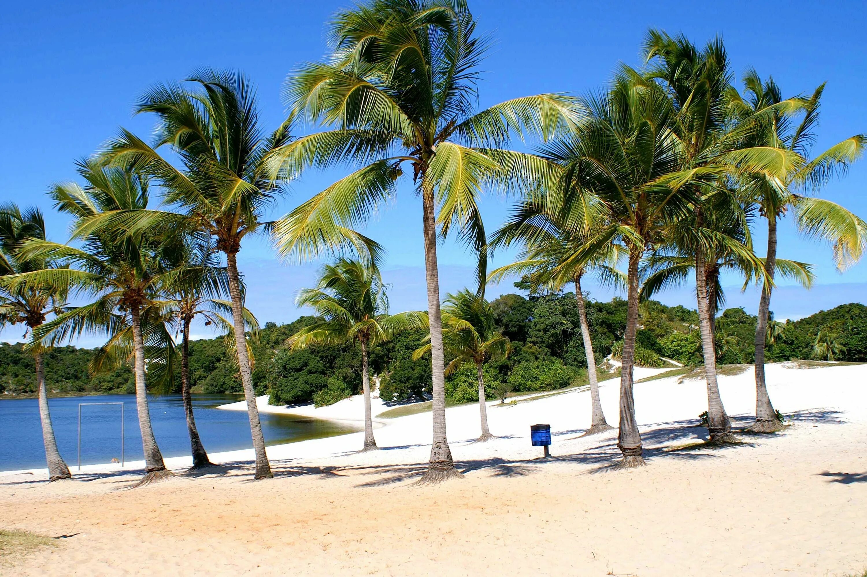 Baile do coqueiro 5 speed up. Bahia Brazil Beach. Порто-Праи на Сантьяго кокосовые пальмы. Бразилия портосехуа Бахия. Порто-Праи на Сантьяго порт кокосовые пальмы.