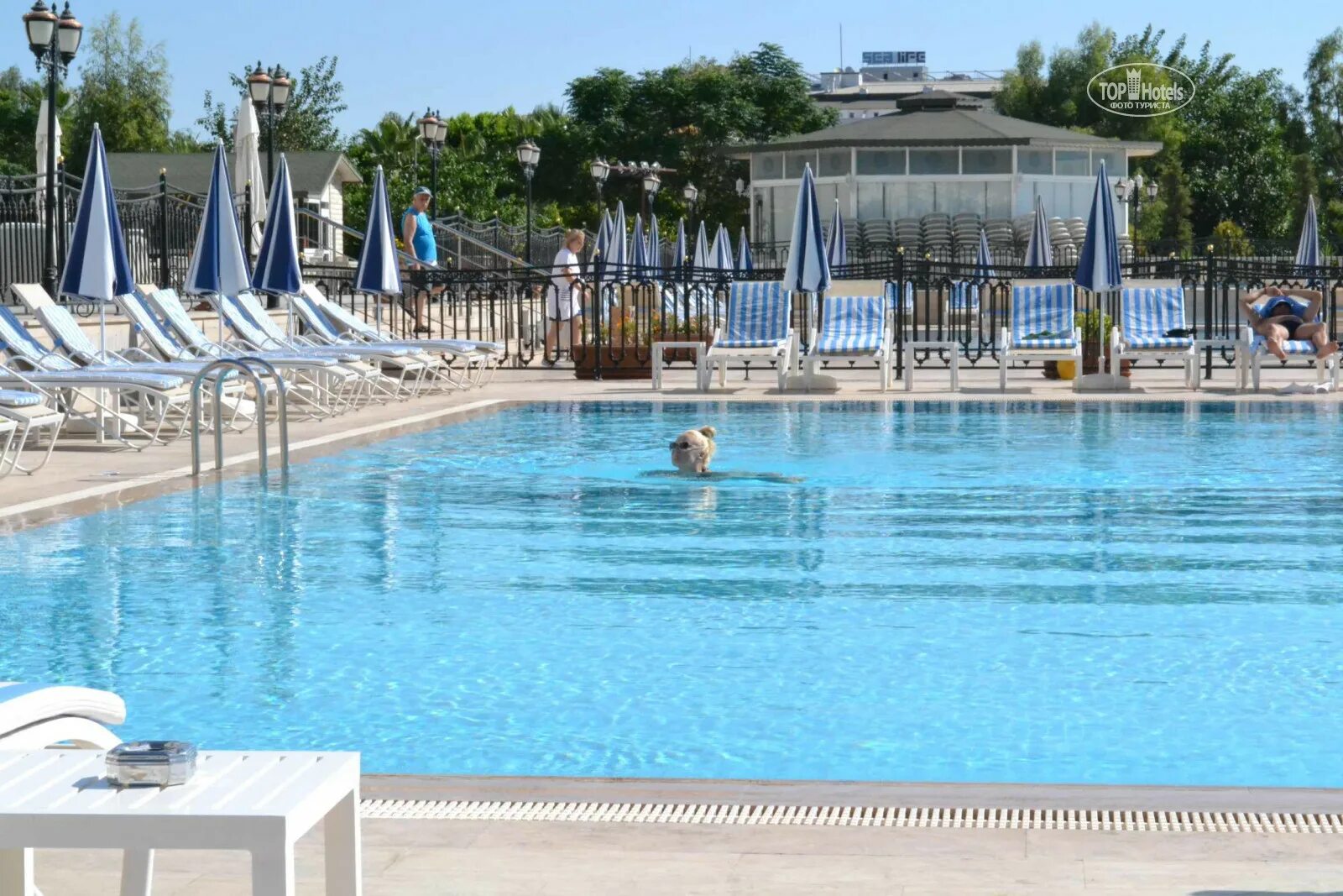 Megasaray West Beach 5 Анталия. Megasaray Westbeach Antalya 5. Megasaray Westbeach Antalya ***** (Анталия). Миназ парк Резорт.