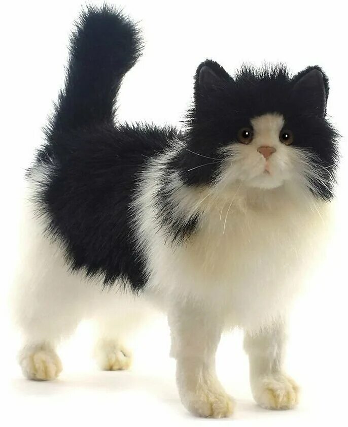 Игрушка «котенок». Настоящую игрушку. Игрушка кот как настоящий. Игрушка «котенок». Keel toys мягкие игрушки кошечка.