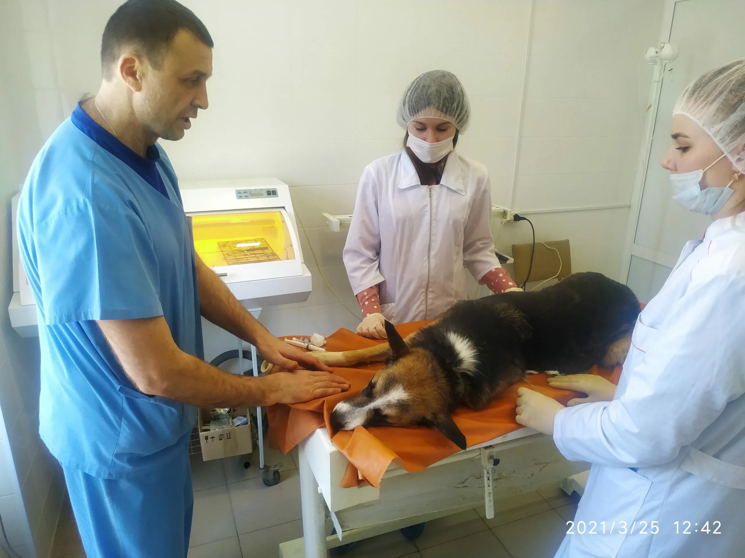 Ветеринарная клиника юннатов. Клиника зеленоградская сббж. Старообрядческая улица 30б ветклиника. Москва борьба с болезнями животными. Ветеринарная клиника иркутск красноказачья.