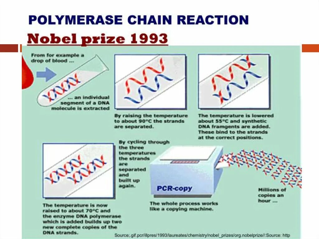 Источник https chemer ru services reactions chains. Polymerase Chain Reaction Reaction. Polymerase Chain Reaction (PCR). PCR Reaction. PCR Chain Reaction.