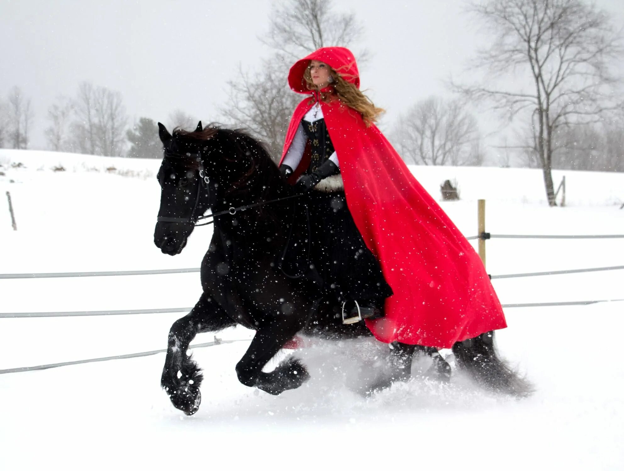 Redhead riding. Костюм наездницы. Новогодний наряд для лошади. Лошади зимой. Новогодний костюм для всадника и лошади.