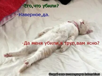 Да не меня убило