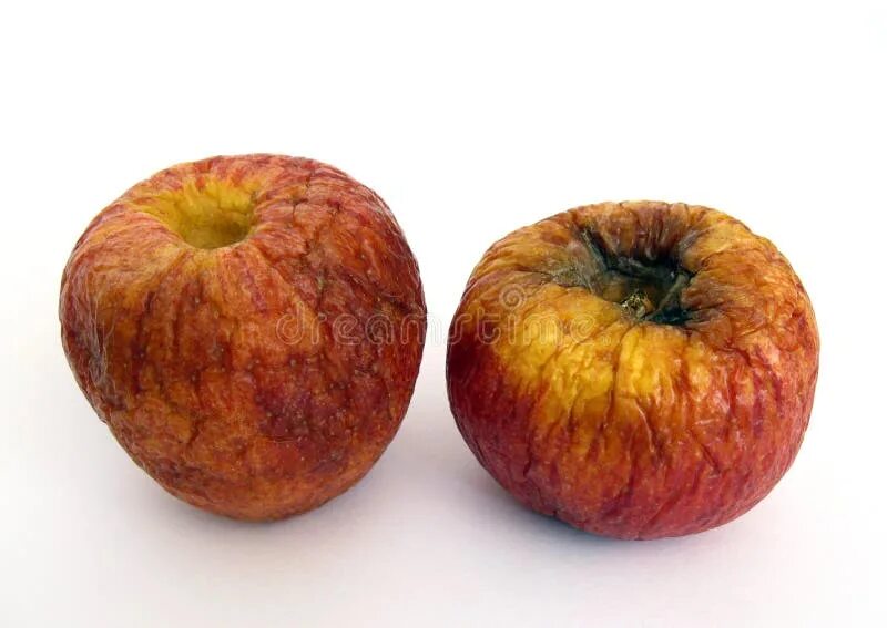 Old apple