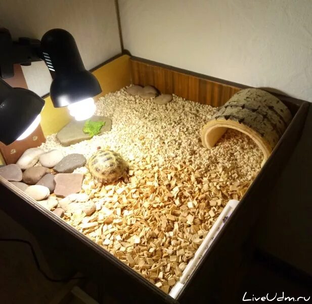 Грунт чапа кукурузный для террариума. Наполнитель для черепах сухопутных. Опилки для черепах. Наполнитель для черепахи сухопутной среднеазиатской. Наполнитель для черепах сухопутных.