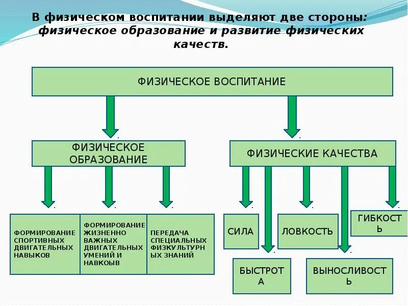 Система физического воспитания. Формирование физического воспитания. Схема системы физического воспитания. Понятие физическое воспитание. Методика физического образования