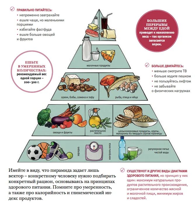 Питание здорового человека должно быть. Пирамида правильного питания. Рацион здорового питания. Принципы здорового питания. Рацион правильного питания пирамида.