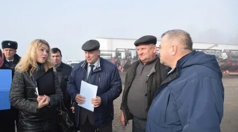 Просторы губкин