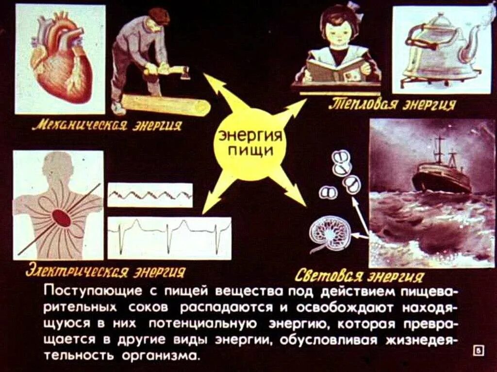 Только 10 энергии поступает от каждого предыдущего. Виды энергии поступающие в квартиру.