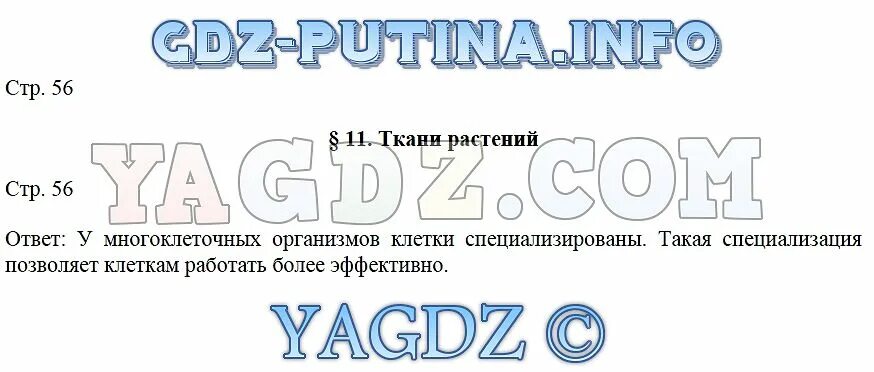 Биология 5 класс стр 117 проверь себя. Биология 5 класс Сивоглазов Плешаков. Биология 5 класс учебник Сивоглазов. Учебник по биологии 5 класс Сивоглазов Плешаков.