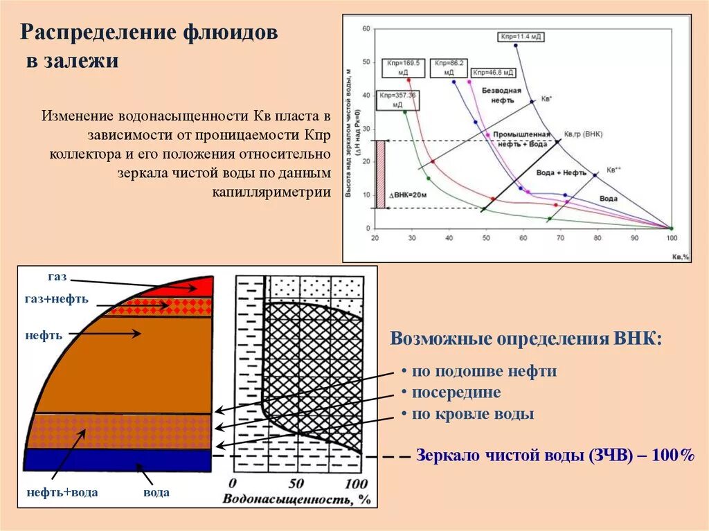 Флюид скважины. Распределение флюидов в Пласте снизу вверх. Распределение нефти. Кровля и подошва продуктивного пласта. Классификация пластовых флюидов.