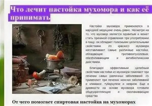 Настойка из мухоморов лечение