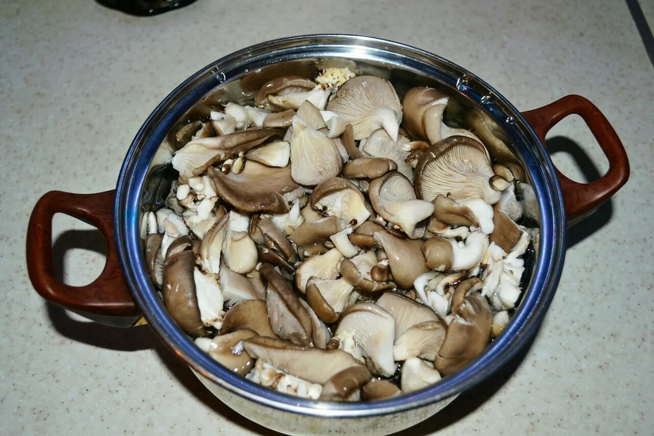 Белый гриб нужно варить. Обабки грибы жареные. Вареные грибы. Отварить грибы. Грибы в кастрюле.