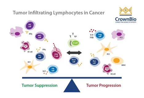 Tumor cancer