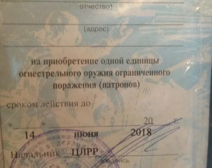 Разрешение на огнестрельное оружие в россии. Лицензия на приобретение оружия оооп. Лицензия на оружие оооп. Лицензия на гладкоствольное оружие 2023. Лицензия на приобретение оружия ограниченного поражения.