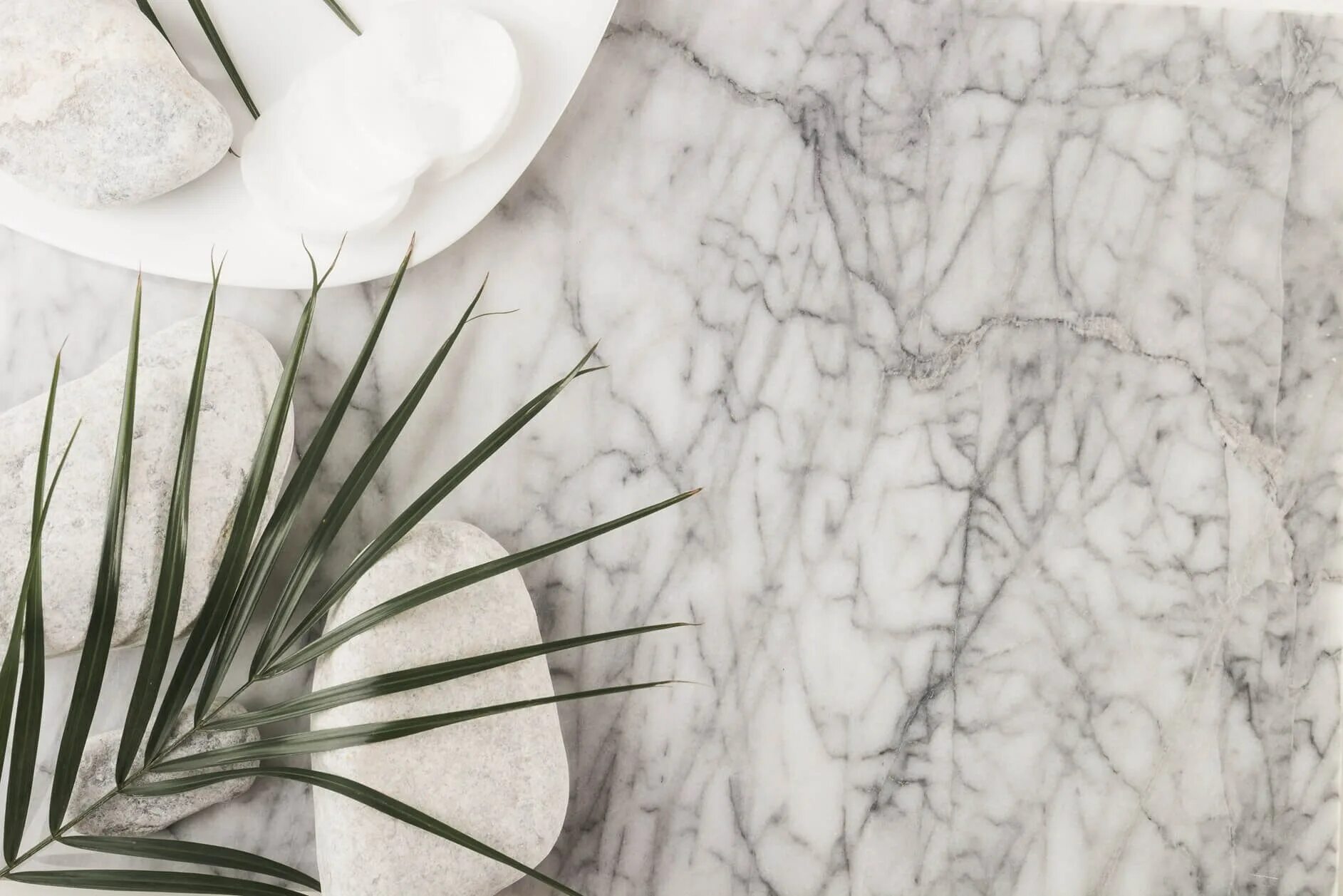 Мраморные обои белые. Мрамор обои. Мрамор фон. Мрамор и тропические листья. Белый мрамор.
