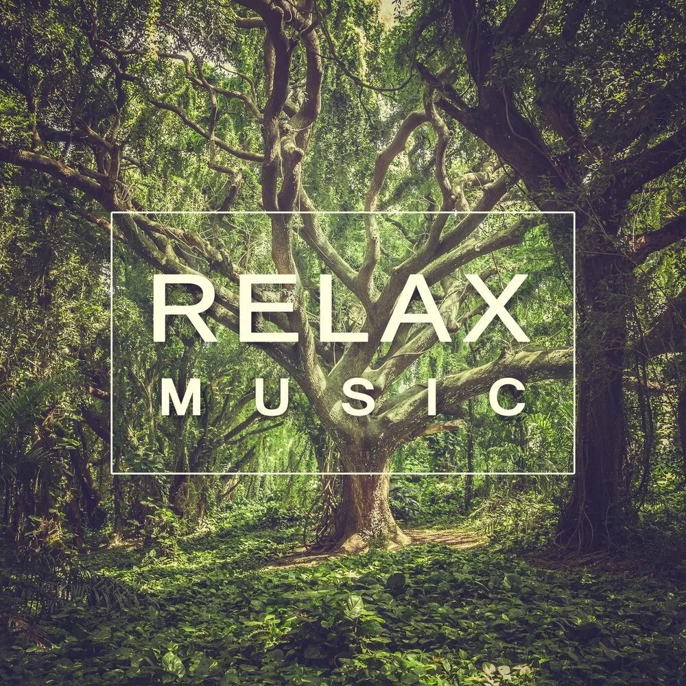 Лесная музыка слушать. Музыкальный лес. Relax Music. Релакс обложка альбома. Релакс музыка арт.