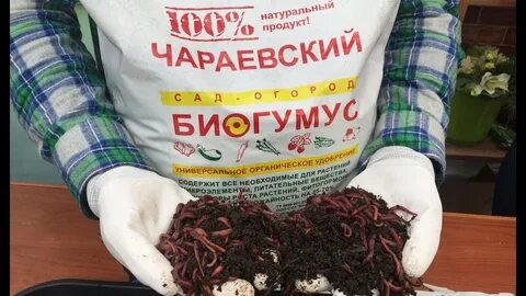 Лучший биогумус