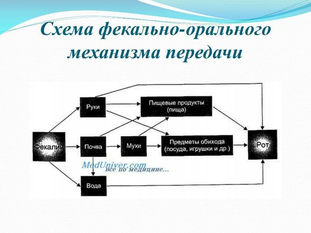 Вирус передача информации