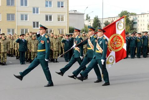 Бригады вв