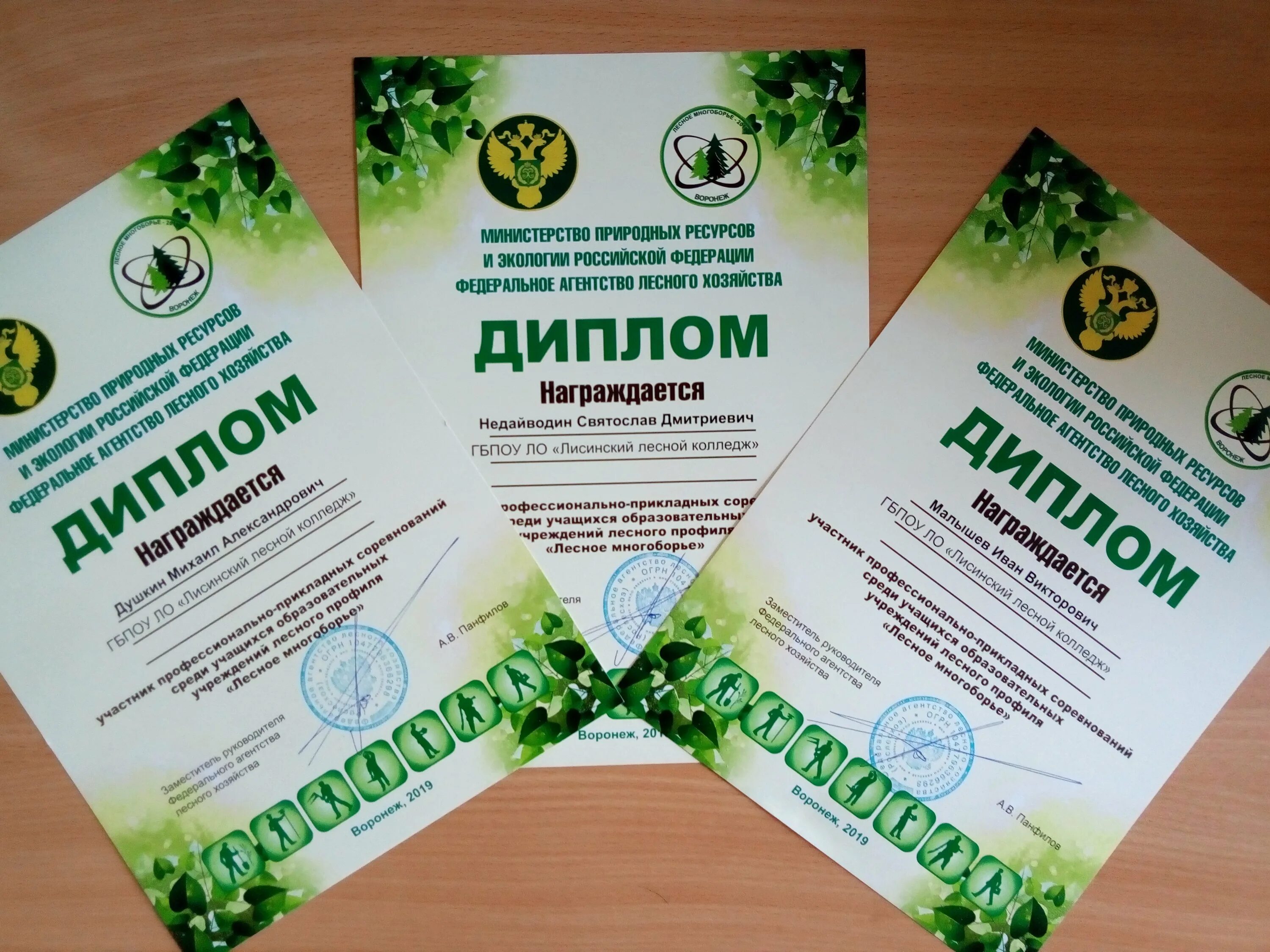 колледж автоматизации лесопромышленного производства им. лисинский лесной колледж спб. г советск суводский лесхоз техникум. дивногорский техникум лесных технологий официальный сайт. лесхоз техникум тихменево.
