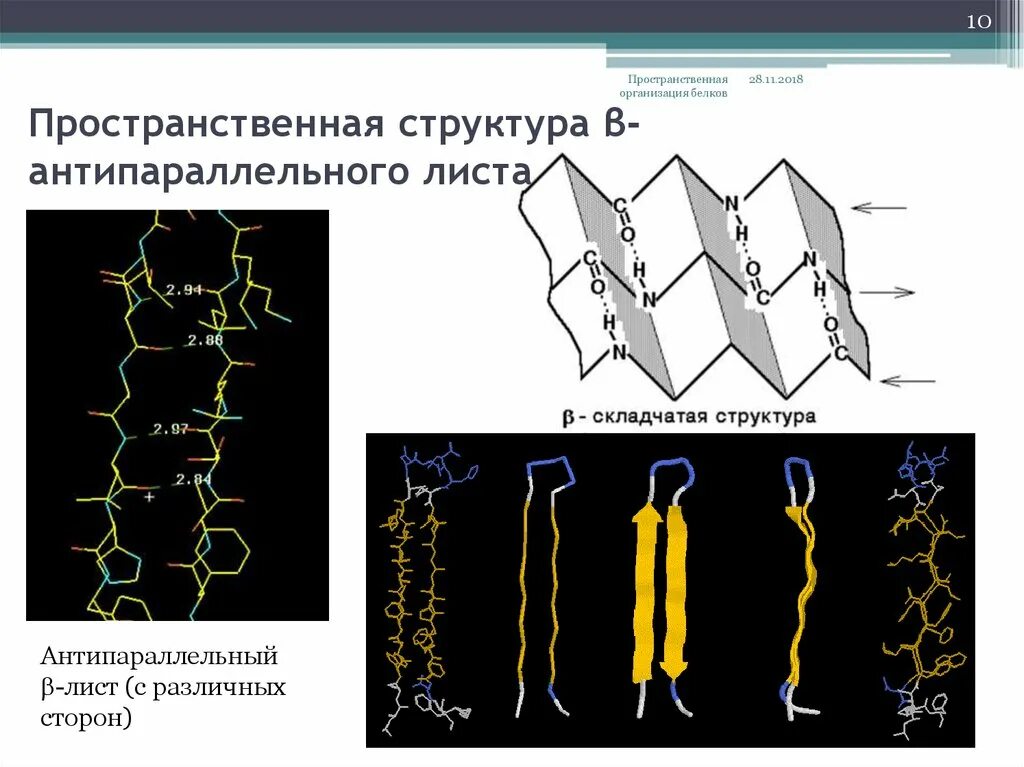 Пространственная организация движений. Пространственная организация движений