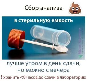 Как хранить собранный анализ кала. Сколько можно хранить кал для анализа в холодильнике ребенка. Срок хранения кала для анализа. Сколько хранится кал для анализа. Сколько можно хранить кал в холодильнике для сдачи анализа.