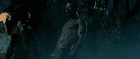 Приманка 2010