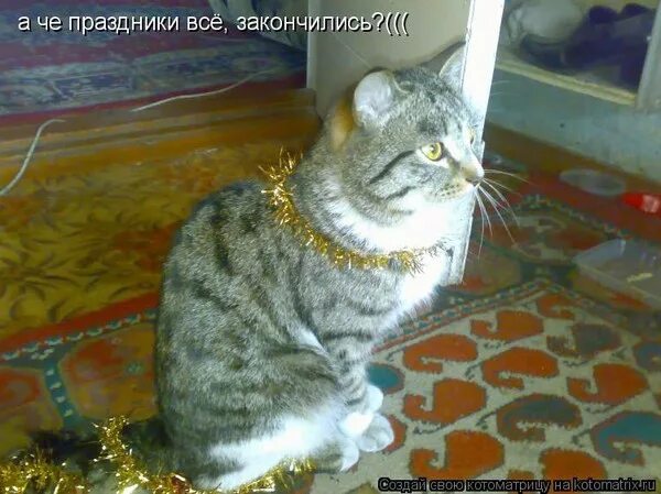 Новый год закончился мем ПРИЕМ ЗАЯВОК И ВОПРОСОВ (АРХИВ-4) @дневники: асоциальная сеть
