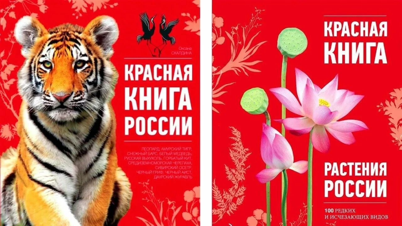 Великая красная книга. Красная книга России. Красная книга России книга. Красная книга обложка. Обложка красной книги России.