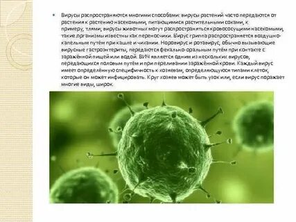 Названия вирусов растений