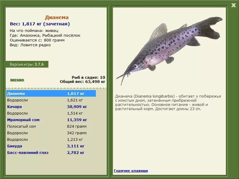 русская рыбалка 3 7 6 амазонка мв. на что ловится трофейный сом. русская рыбалка 3 как подняться на 50 разряде. русская рыбалка 3 7 6 амазонка. 7.