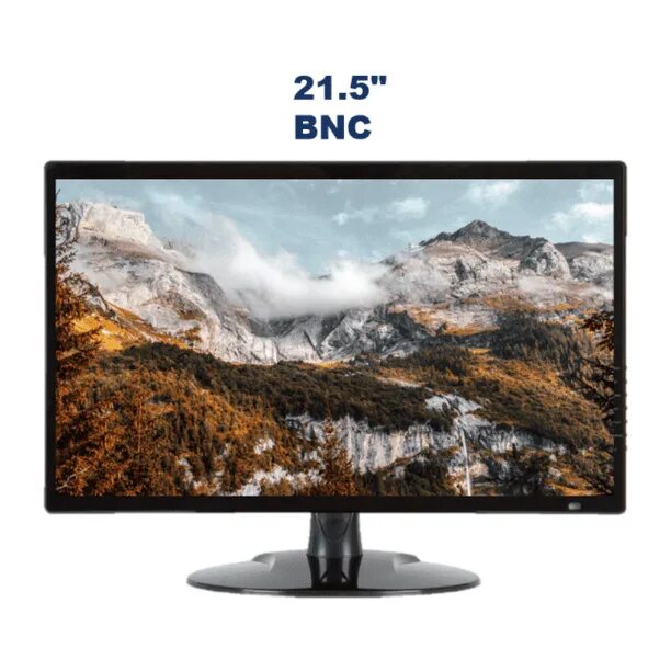 Av 21. Аналоговый монитор. Монитор с аналоговым входом. 2.5" Analog Monitor. Монитор аналоговый TSV.